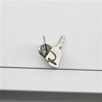 Lockable Access Hatch